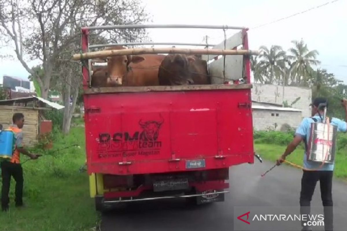 Antisipasi zoonosis,  Jateng batasi lalu lintas hewan ternak