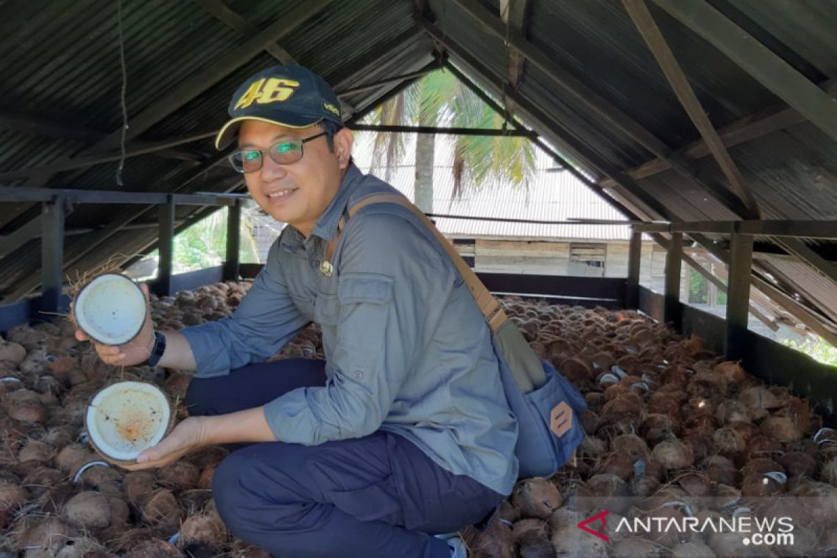 Harga kopra capai Rp6.000 per kilogram di Kubu Raya