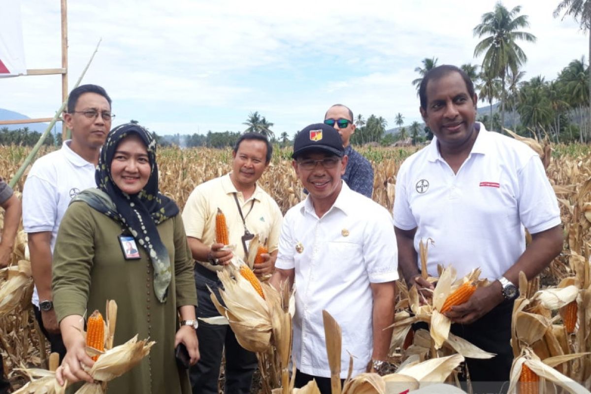 Bupati : Petani Sigi perlu perubahan paradigma dalam kegiatan bercocok tanam