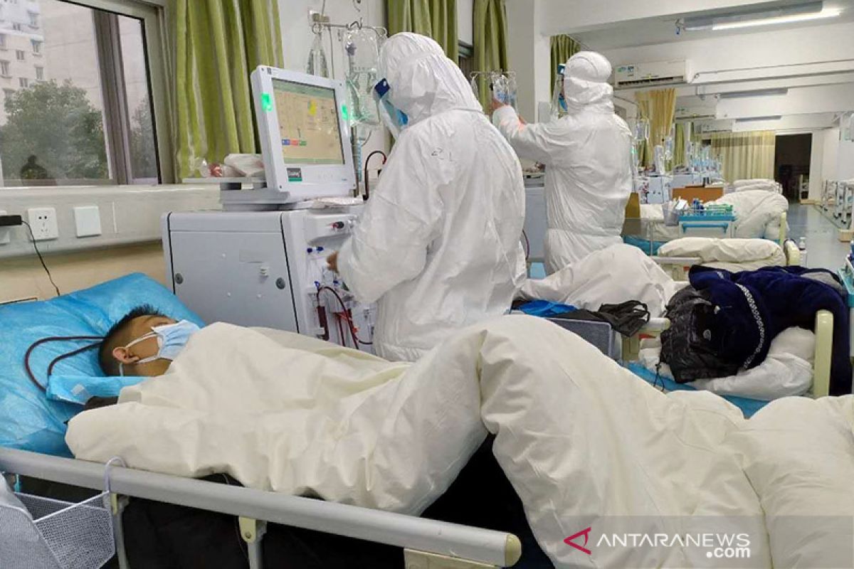 Korban Meninggal Di China Akibat Virus Corona Bertambah Jadi 41 ...