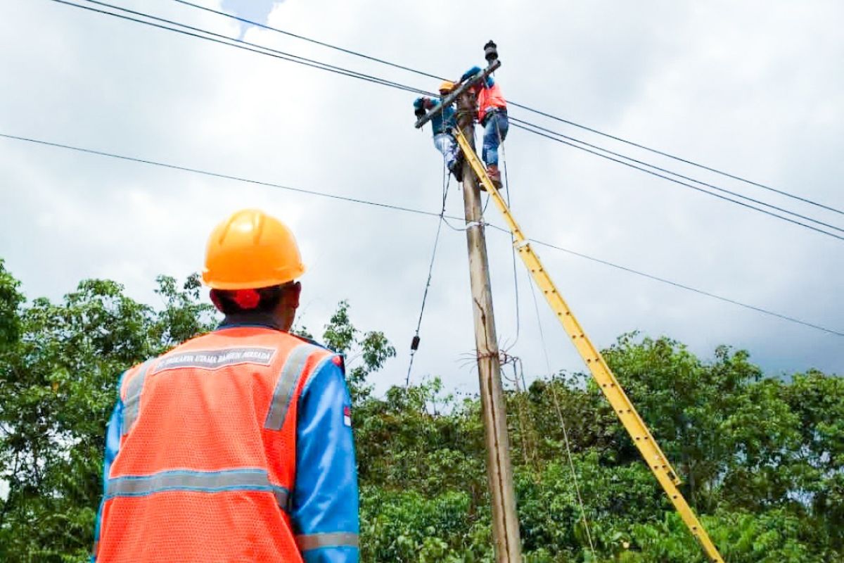 PLN tingkatkan keandalan jaringan jelang haul ke-15 Guru Sekumpul