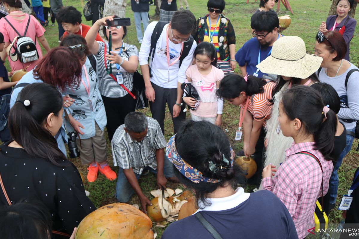 Chinese tourists scramble to get young coconuts at STIB Pariaman