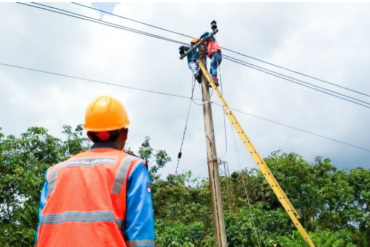 PLN tingkatkan keandalan sistem kelistrikan jelang haul Guru Sekumpul