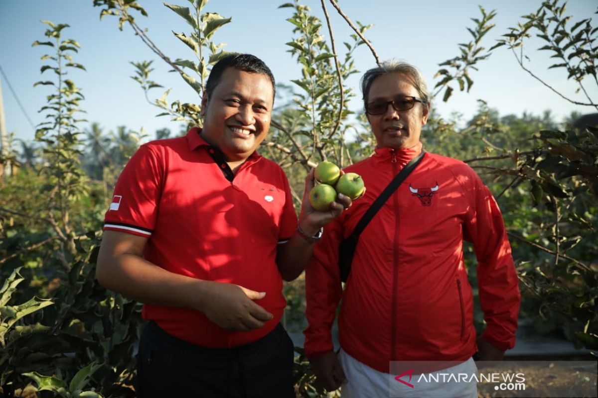 Bupati Gianyar dukung budi daya apel