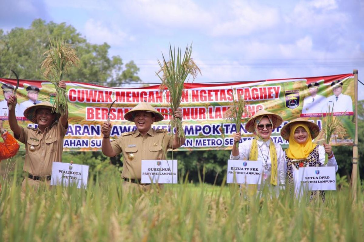 Gubernur Lampung apresiasi panen padi di Kota Metro capai 47.000 ton