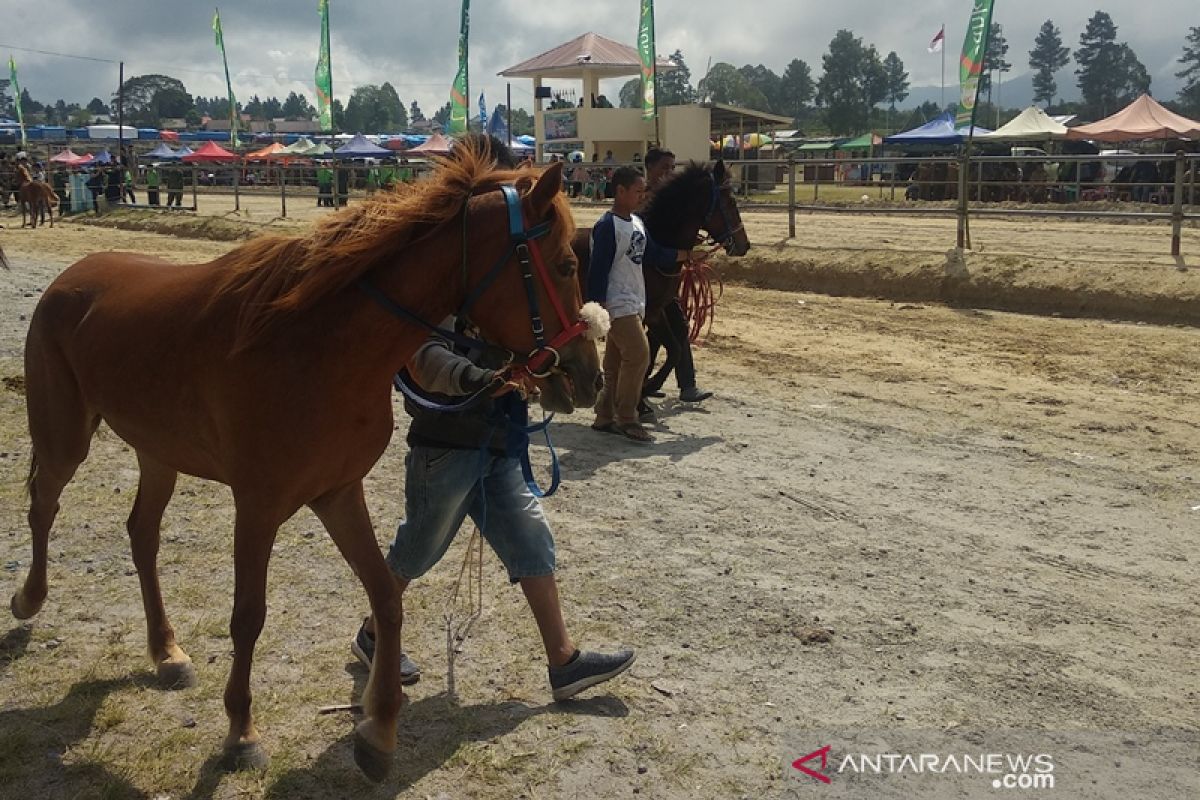 327 ekor kuda meriahkan pacuan tradisional di Bener Meriah