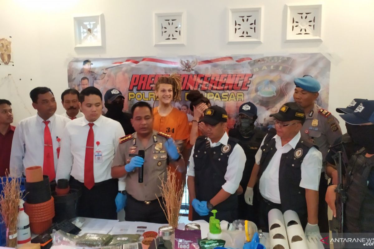 Polisi bongkar pemilik industri ganja rumahan asal Rusia