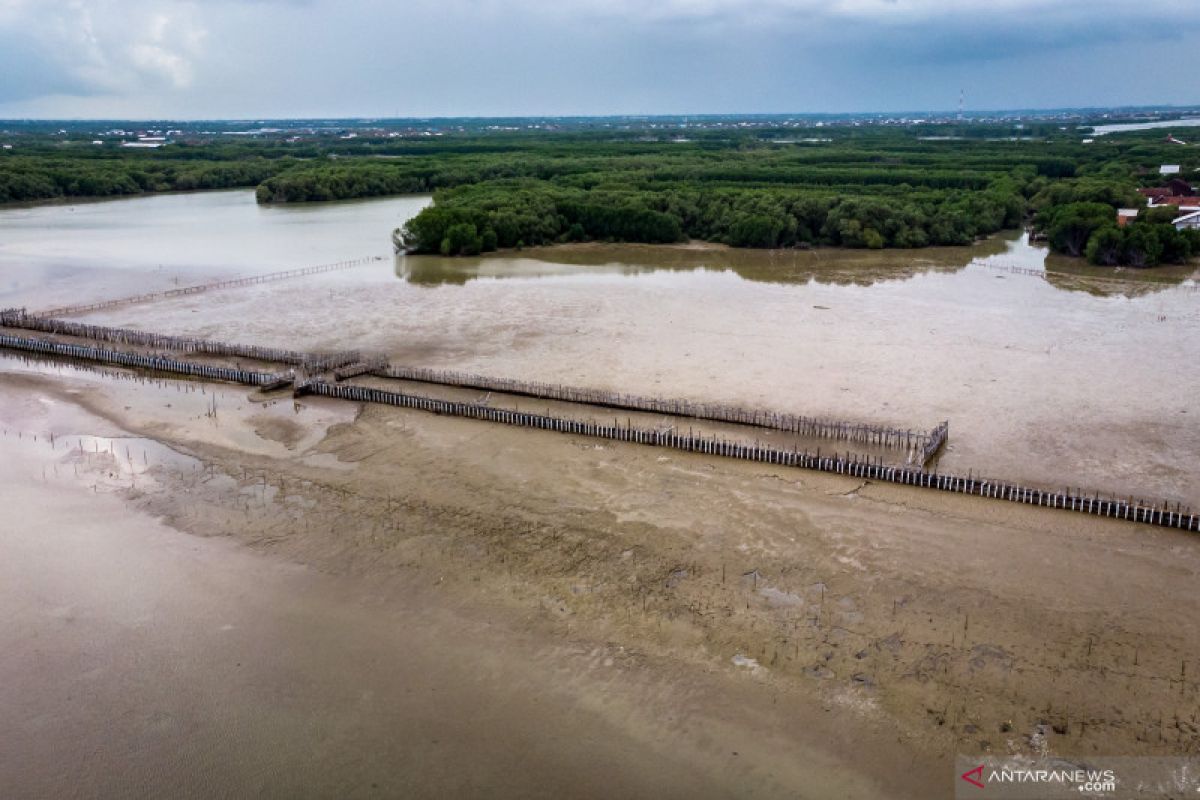 Tol Semarang-Demak jangan sampai perparah abrasi pesisir