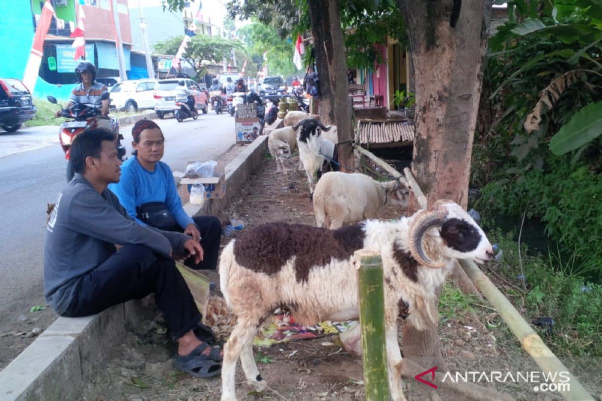 Hewan ternak yang diperjualbelikan di pasar Purwakarta bebas antraks