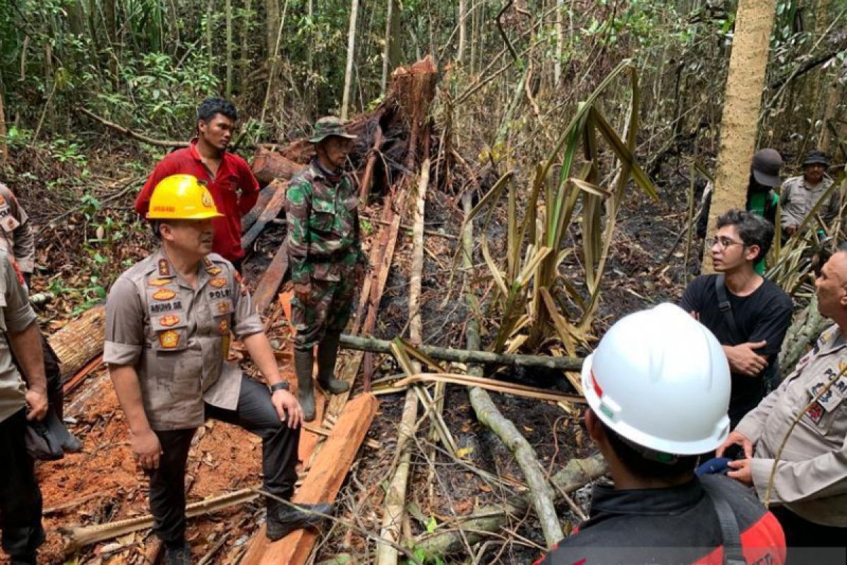 Pembalakan liar penyebab Karhutla di Pulau Rupat