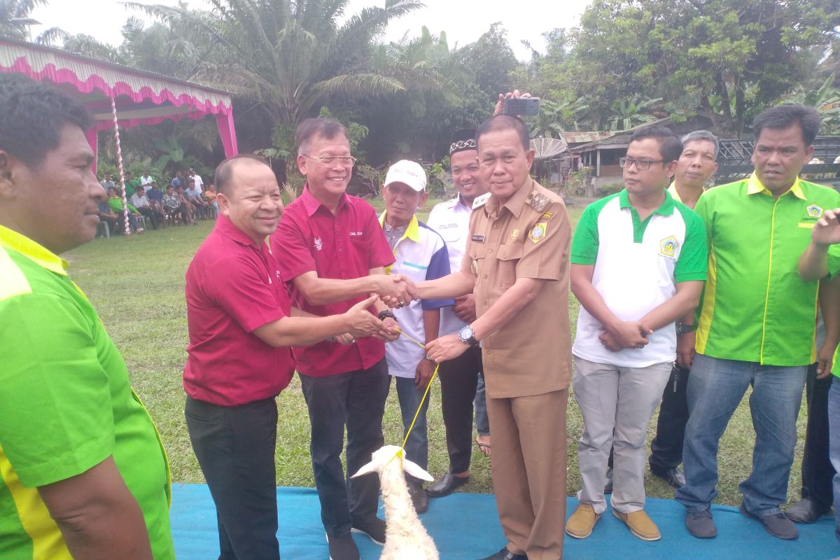 Asian Agri salurkan bantuan 400 ekor kambing ke Labusel