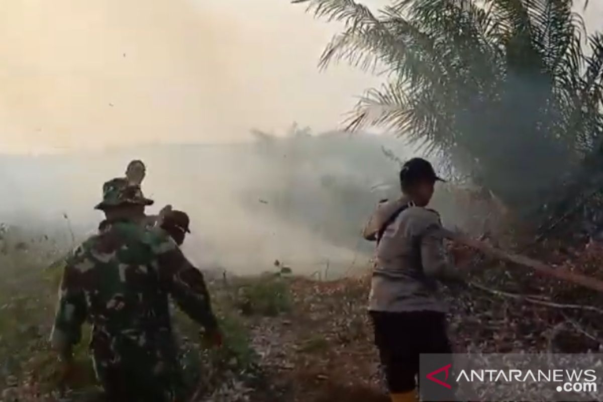 6 hektare lahan rebutan masyarakat Siak dan PT DSI terbakar