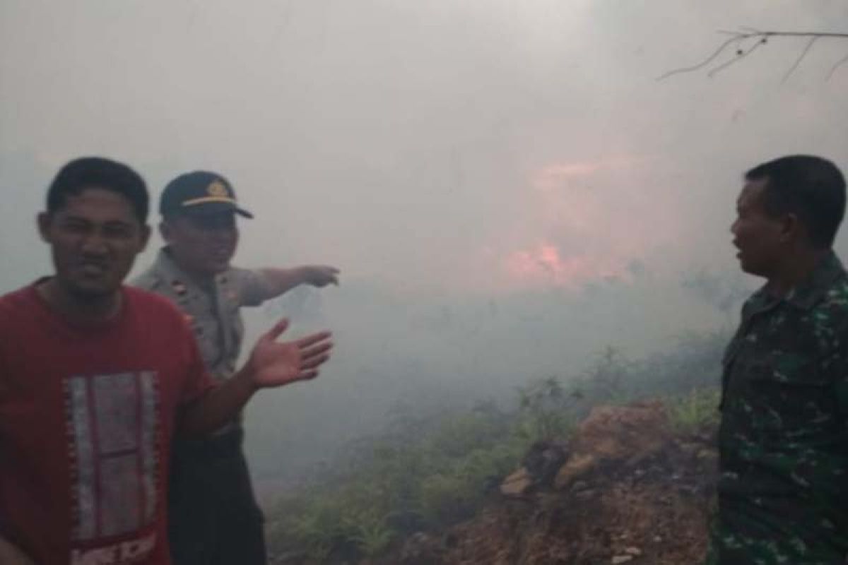 Lahan kosong kembali terbakar di Aceh Jaya