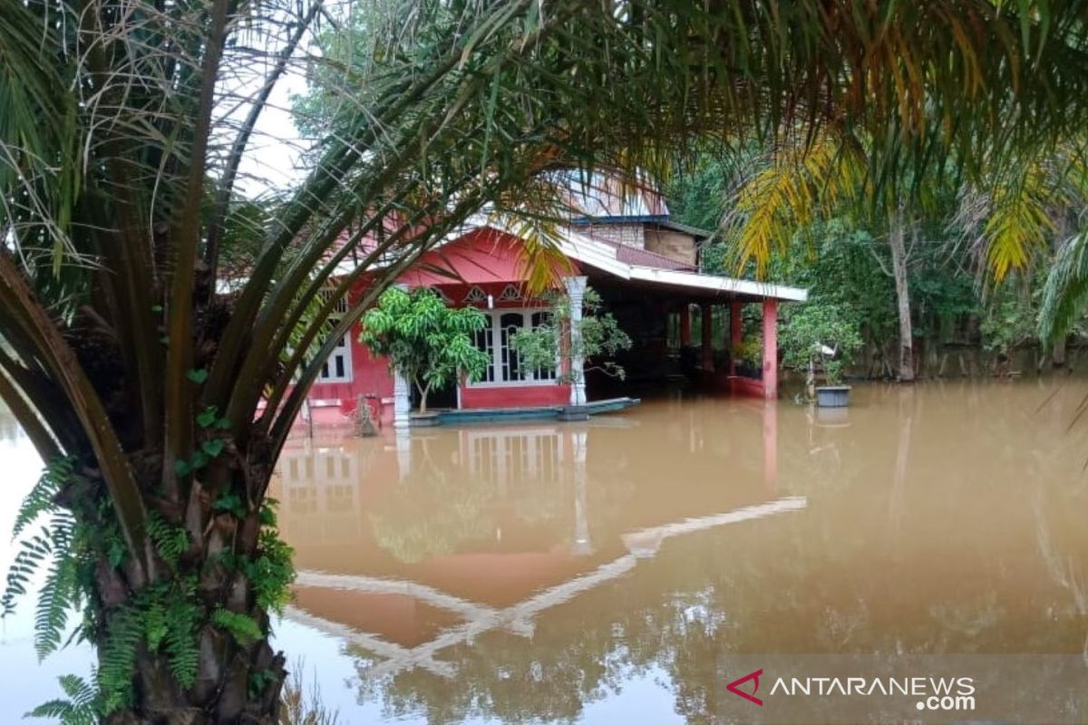 Debit air Sungai Batanghari meningkat dan rendam pemukiman