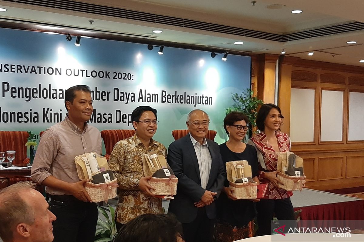 Melemahnya perlawanan korupsi pengaruhi usaha pelestarian lingkungan