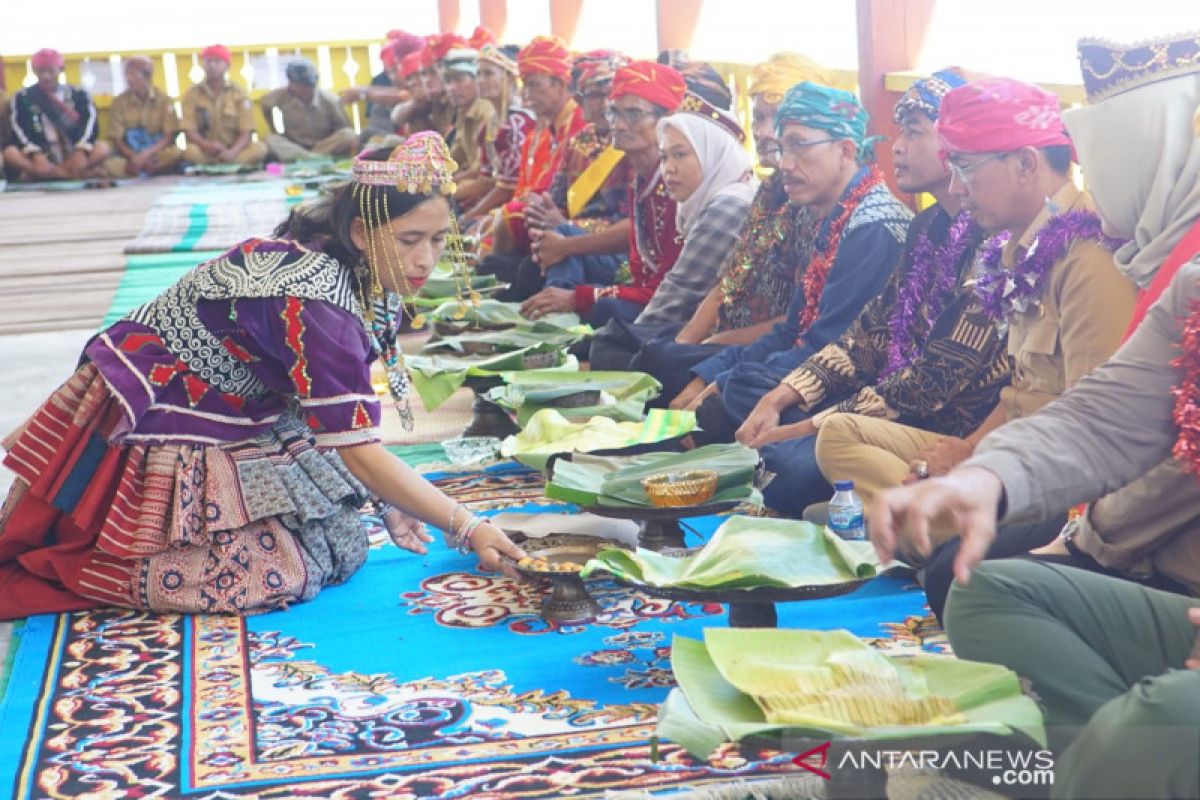 Masyarakat adat Sigi minta TNLL legalkan pengelolaan hutan secara adat