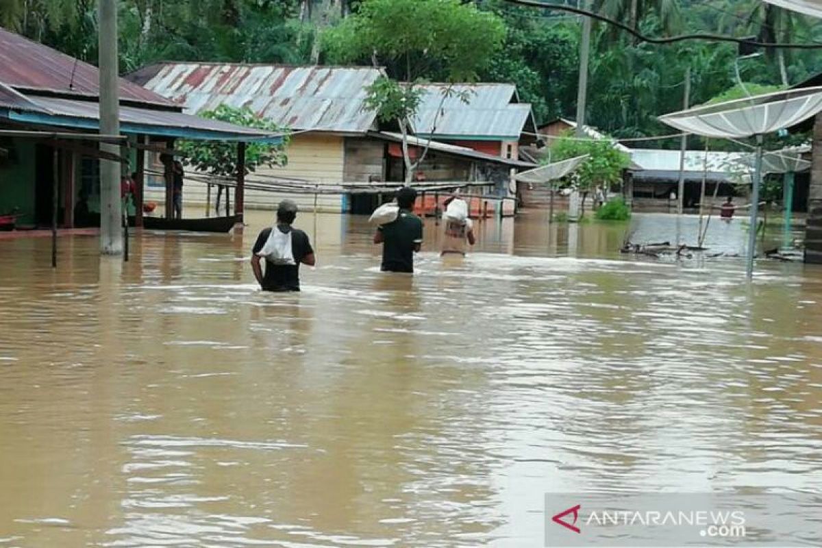 Rain-triggered floods swamp 163 homes in South Tapanuli, North Sumatra