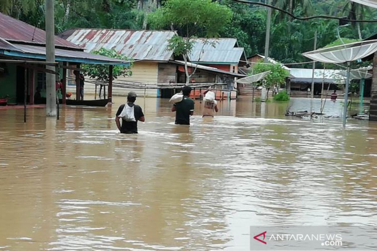 Ratusan rumah di Tapanuli Selatan dikepung banjir