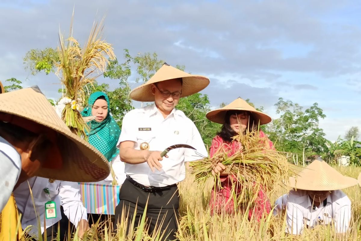 Wali Kota Pontianak apresiasi semangat Poktan tanam padi meskipun lahan terbatas