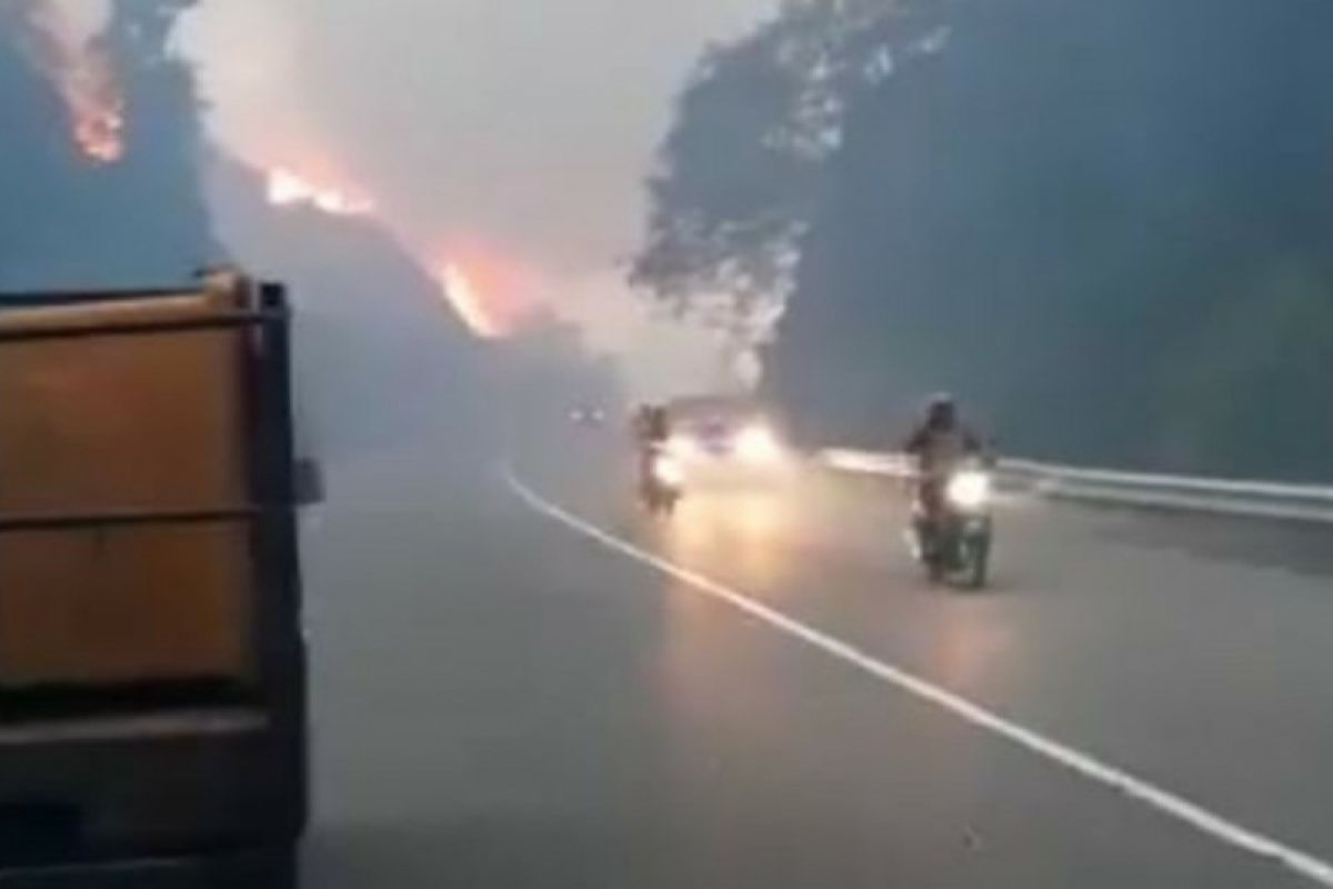 10 hektare lahan kosong terbakar hebat di Aceh Jaya