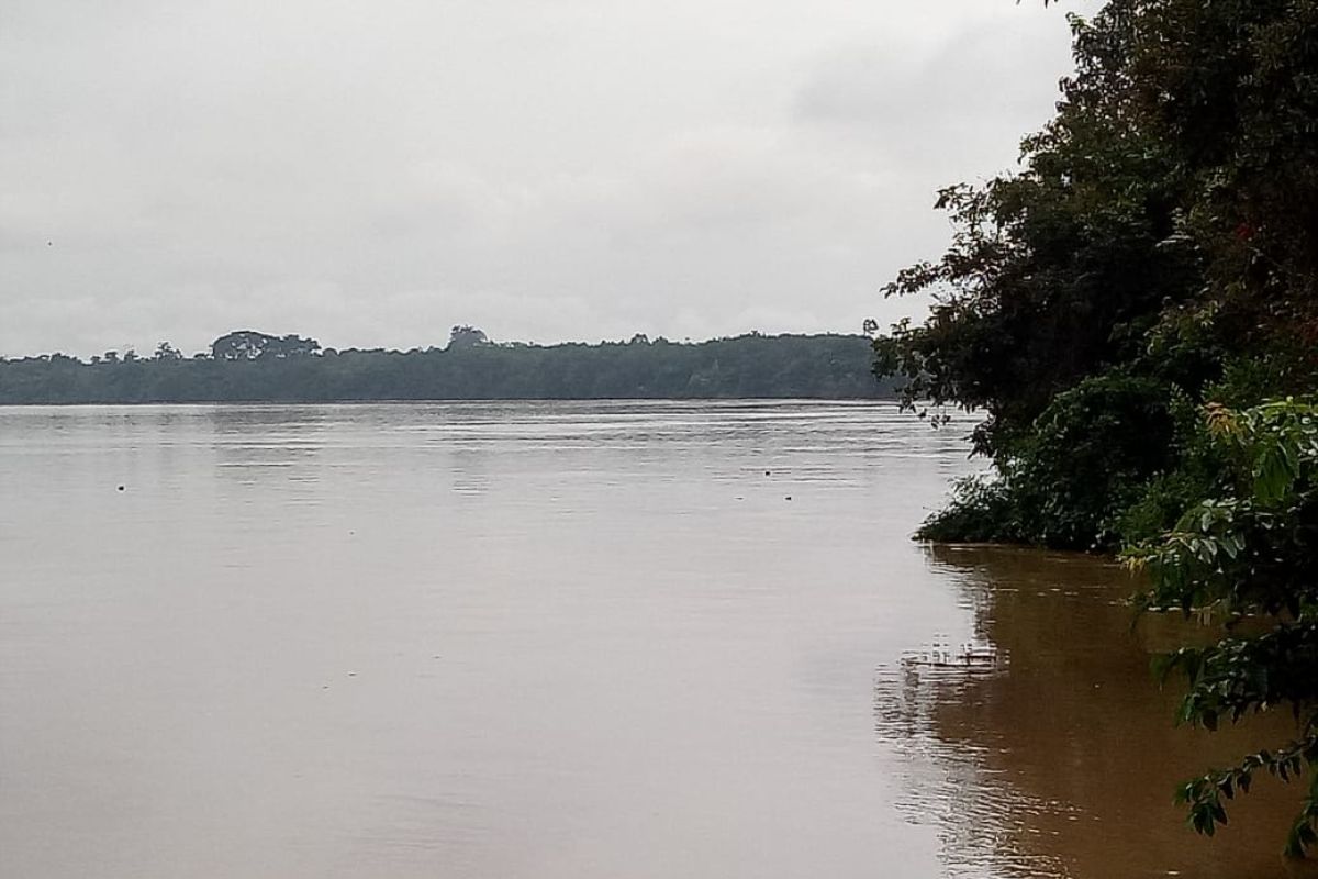 Kota Jambi siaga hadapi banjir luapan Sungai Batanghari