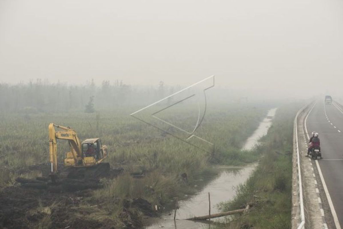 Musi Banyuasin dapat dana BNPB untuk bangun kanal lahan rawan karhutla