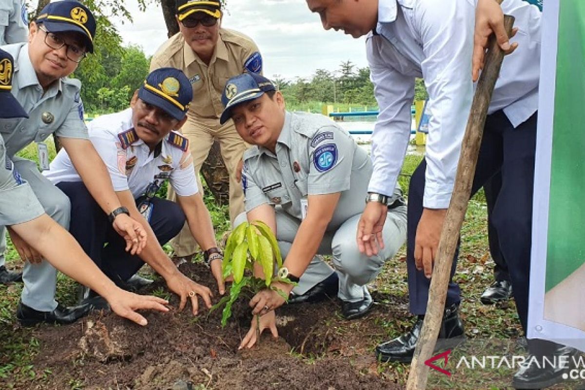 Milenial Jasa Raharja Riau hijaukan Terminal Payung Sekaki dengan 50 bibit pohon