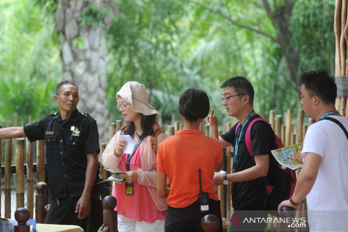 Virus Corona - Dampak virus Corona, kunjungan wisatawan China ke Bali Zoo menurun