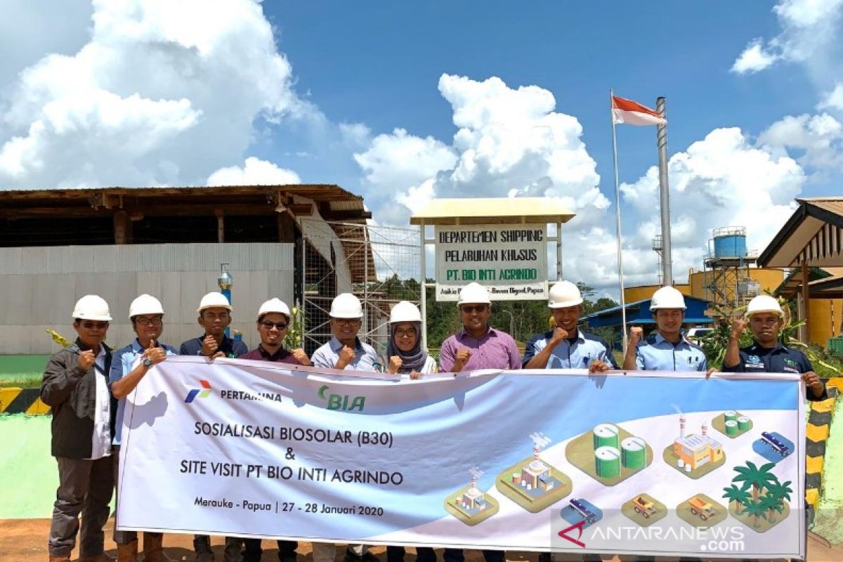 Pertamina dorong percepatan penggunaan biosolar untuk industri di Papua