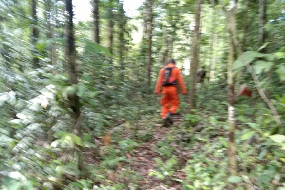Tim SAR cari seorang warga yang dilaporkan hilang di hutan
