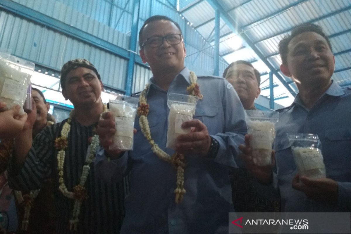 Bantu petani garam, Menteri Kelautan dan Perikanan resmikan enam gudang garam di Pati