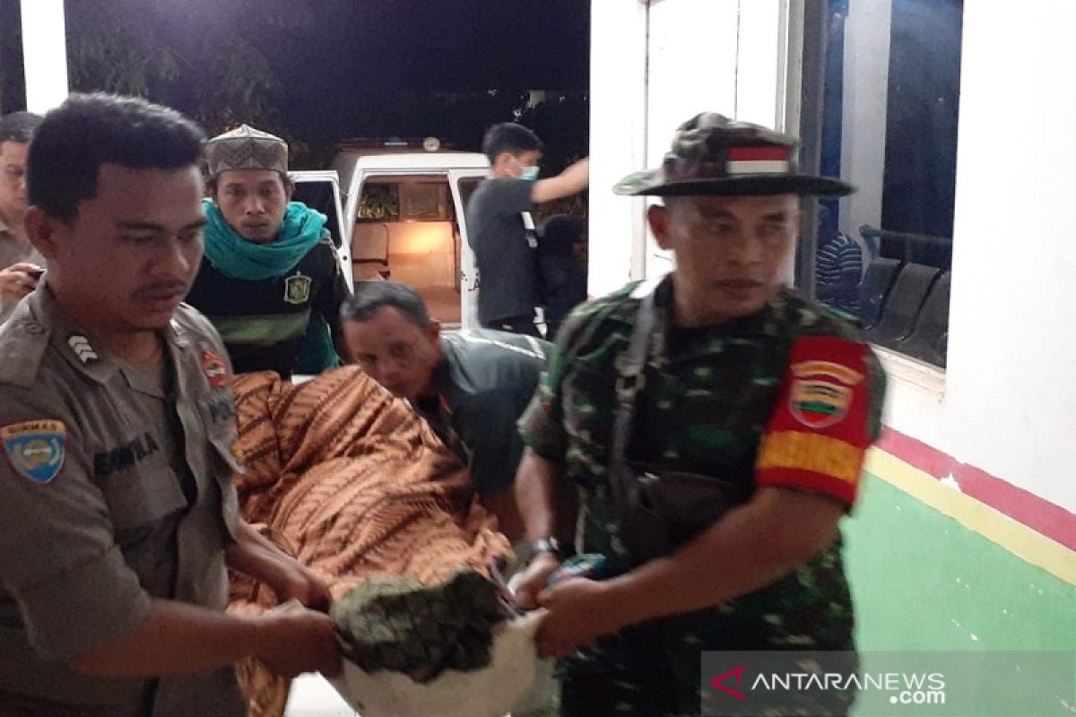 Seorang pencari kayu tewas diterkam harimau di Riau