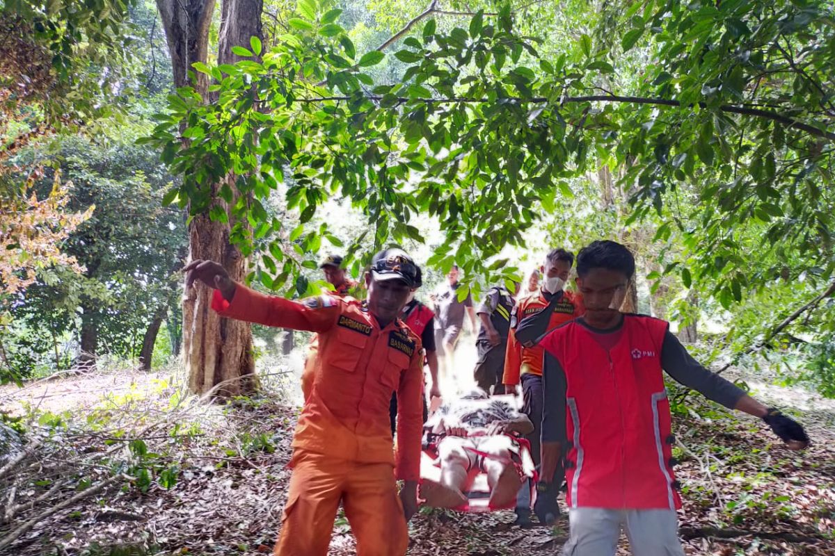 Basarnas : suami istri hilang di hutan Ternate ditemukan selamat