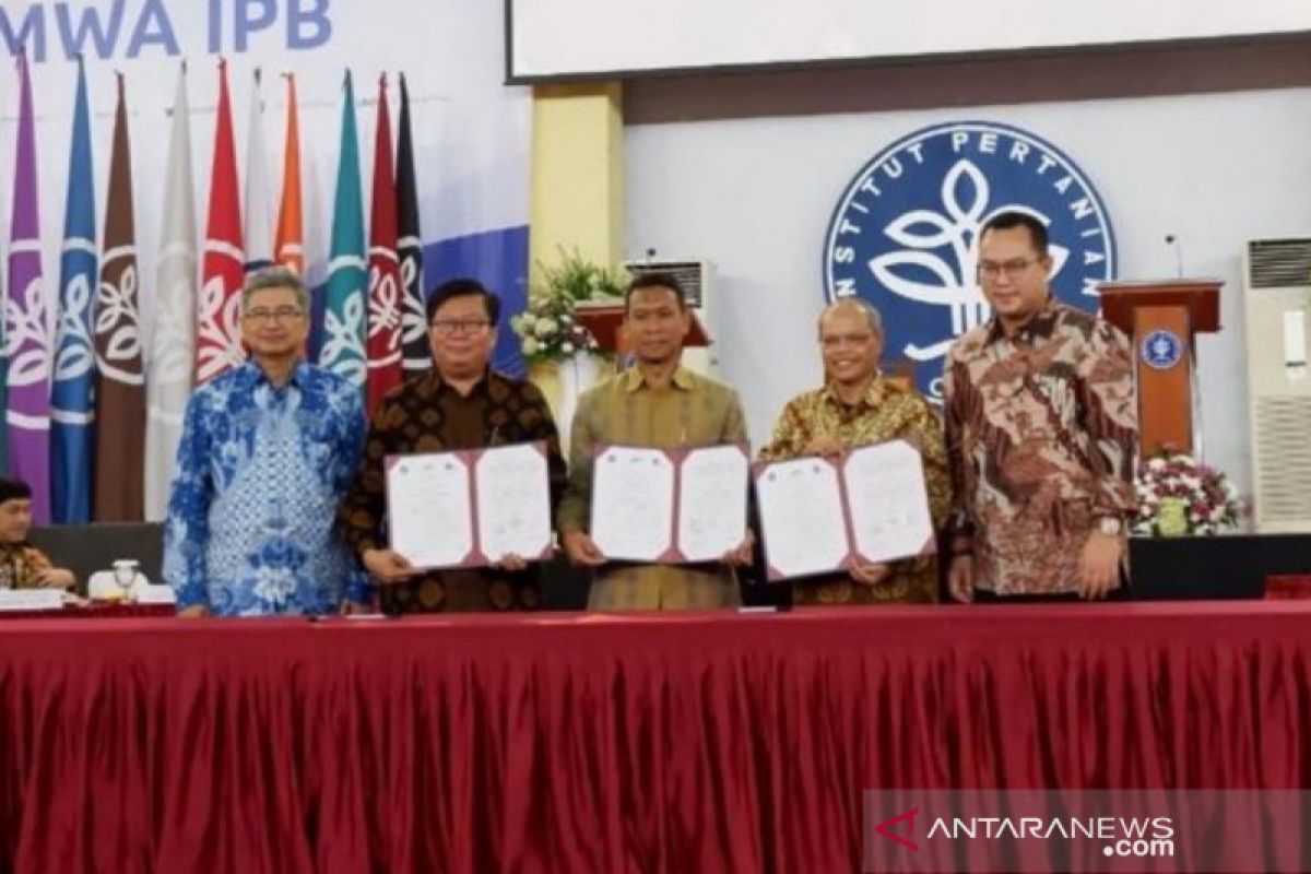 PTPN III sedang kembangkan teknologi pertanian presisi