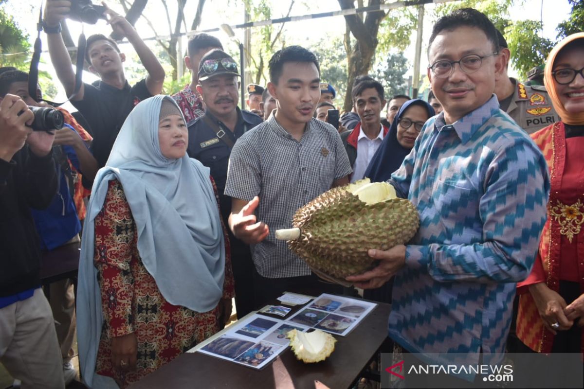 Si Jampang Montong, durian 9,6 kilogram asal Desa Sempalai