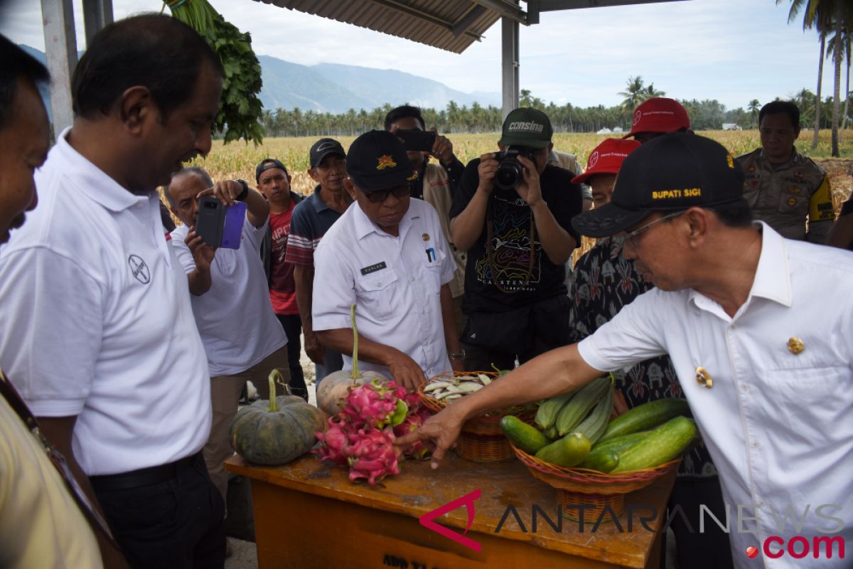 Produksi jagung petani binaan Bayer Indonesia 7,9 ton per hektar