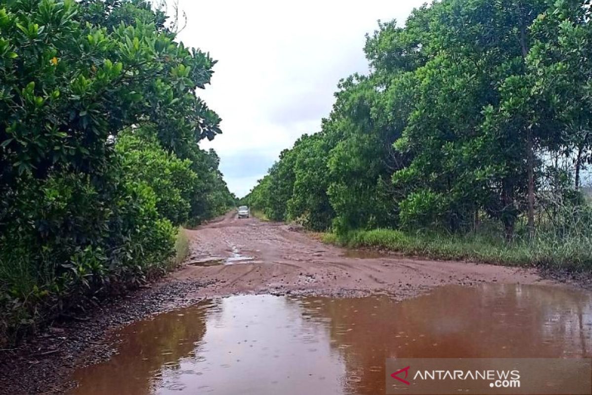 Pemkab Sukamara perbaiki jalan Lunci-Jelai pada tahun 2020