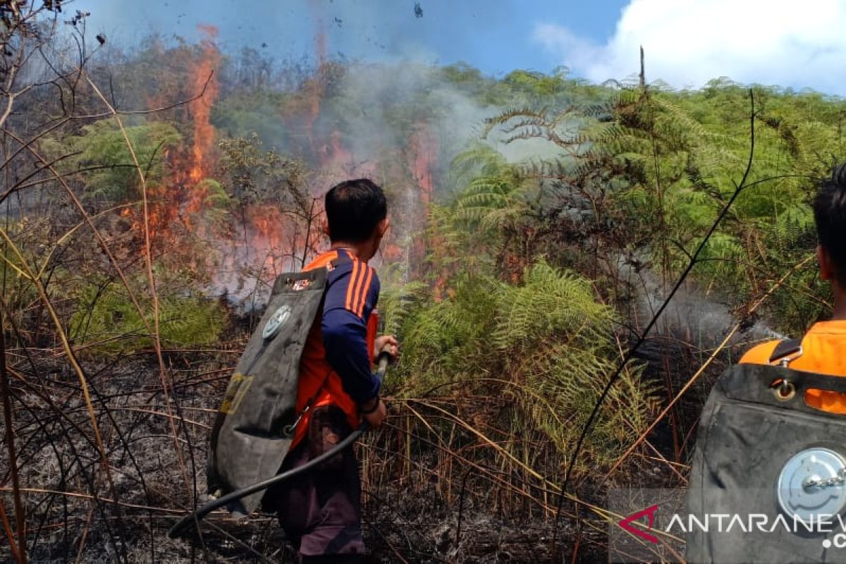 BPBD catat masih terjadi karhutla di lokasi ibu kota negara baru