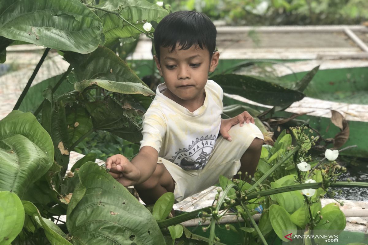 Ekoriparian Teluk Jambe dan upaya atasi banjir