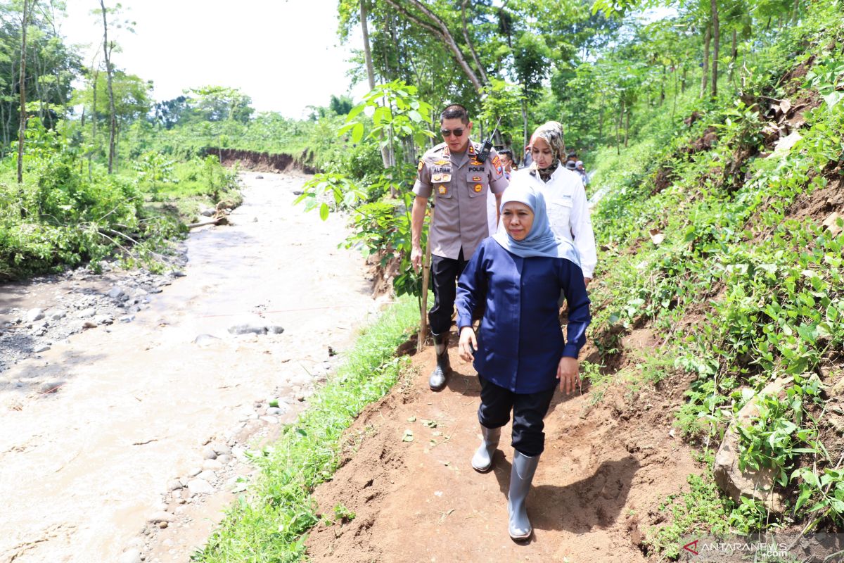 Karhutla penyebab banjir bandang Jember-Bondowoso