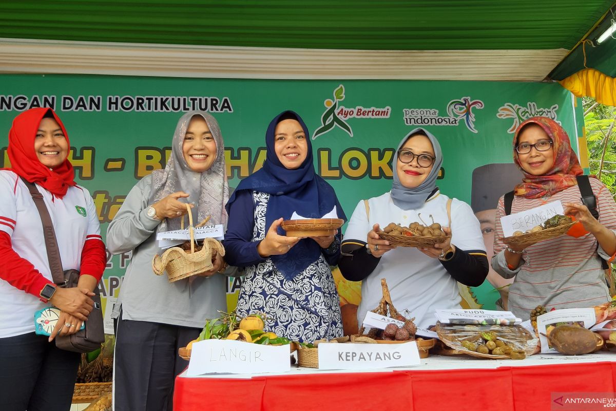 Pengunjung terpukau dengan eksotik buah lokal Kalbar