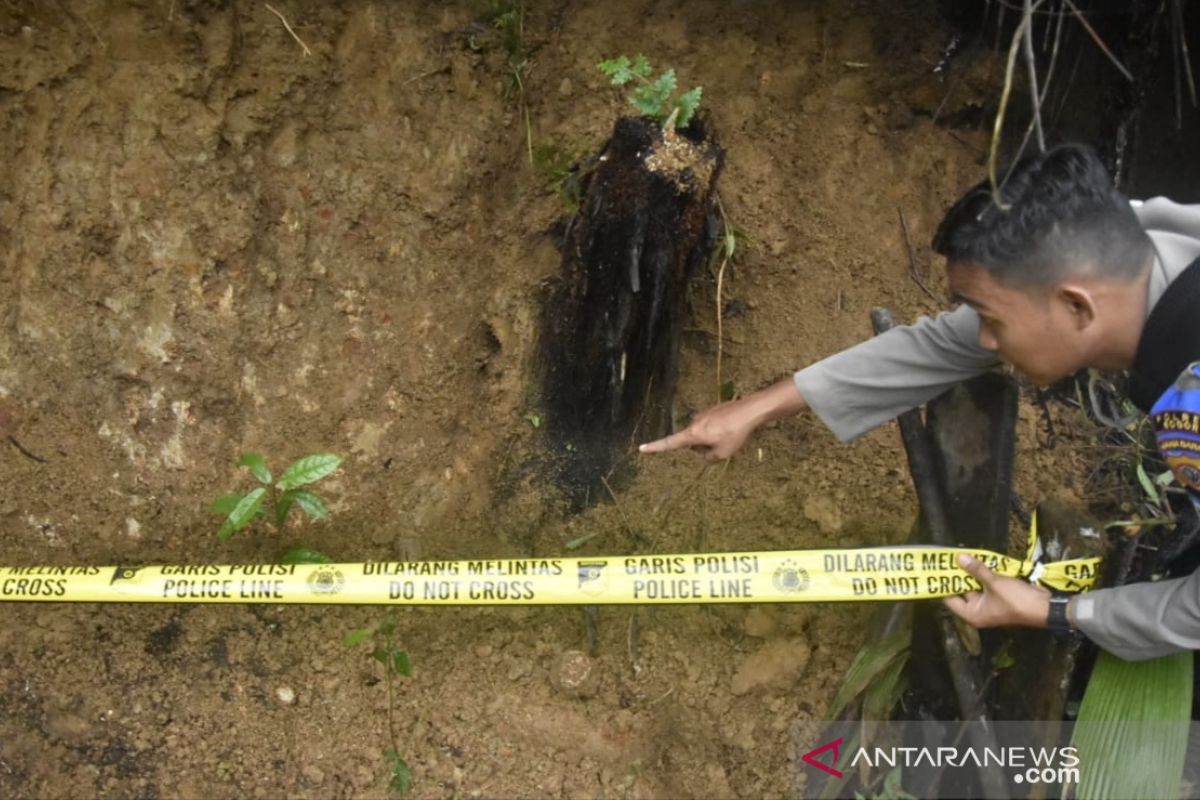 Ratusan personel gabungan tutup 23 lubang tambang emas ilegal di Bogor