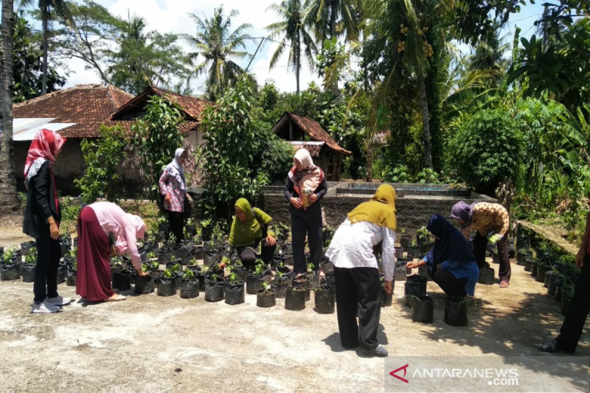 DPRD Kulon Progo meminta dinas pertanian dampingi kelompok wanita tani