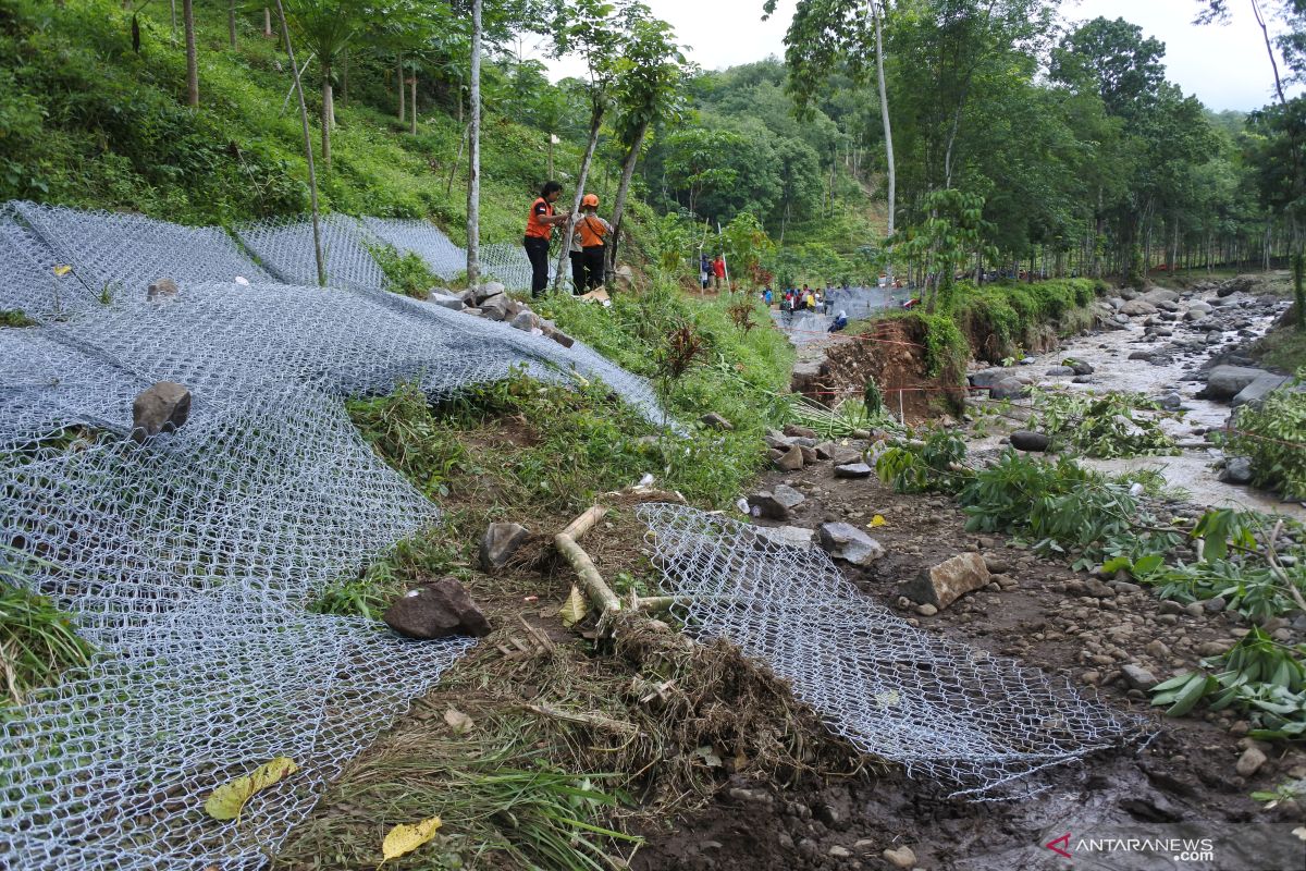 Perhutani lakukan identifikasi penyebab banjir bandang Jember