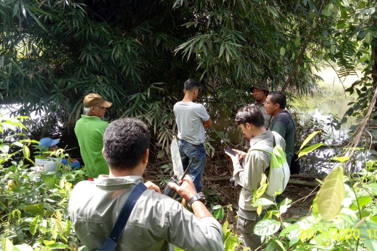 Buaya sepanjang 1,5 meter muncul di parit, warga diminta waspada