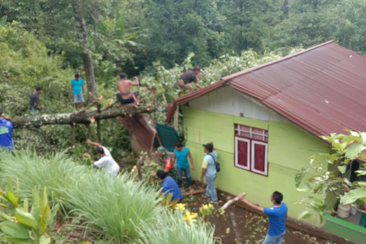 Satu rumah di Kepulauan Sitaro rusak tertimpa pohon