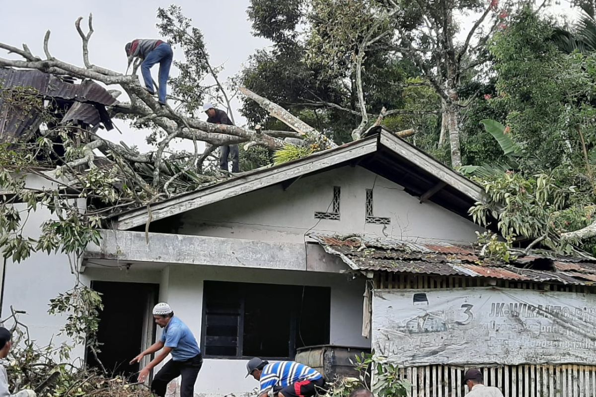 Tiga bangunan tertimpa pohon tumbang akibat angin kencang