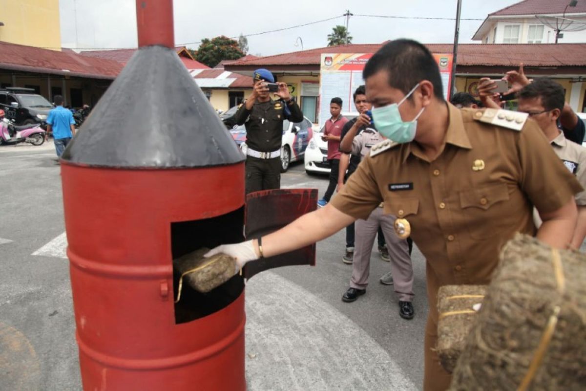 Polres Pematangsiantar bakar 57,7 Kg ganja tangkapan