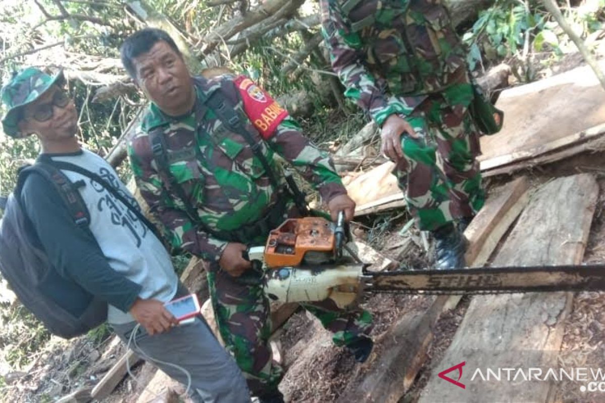 Ratusan balok kayu diduga hasil pembalakan liar di Bima diamankan TNI