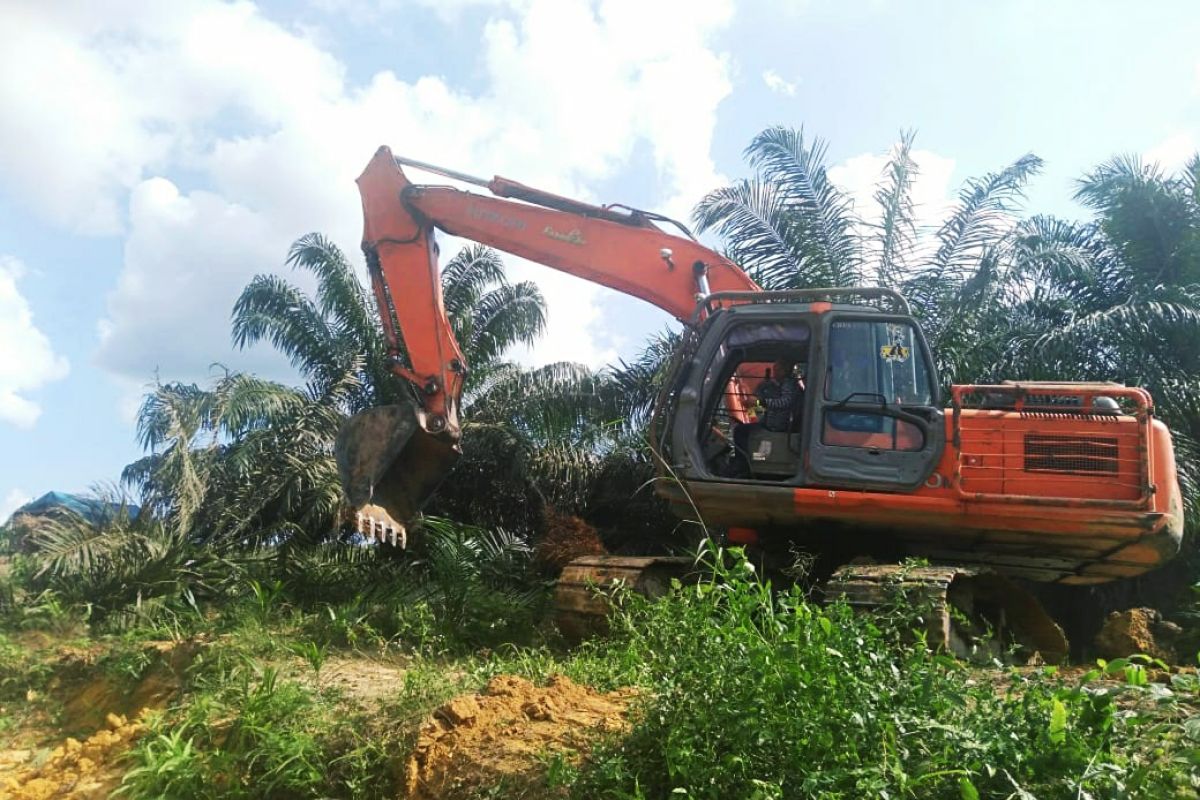 Stok melimpah picu harga sawit Riau turun